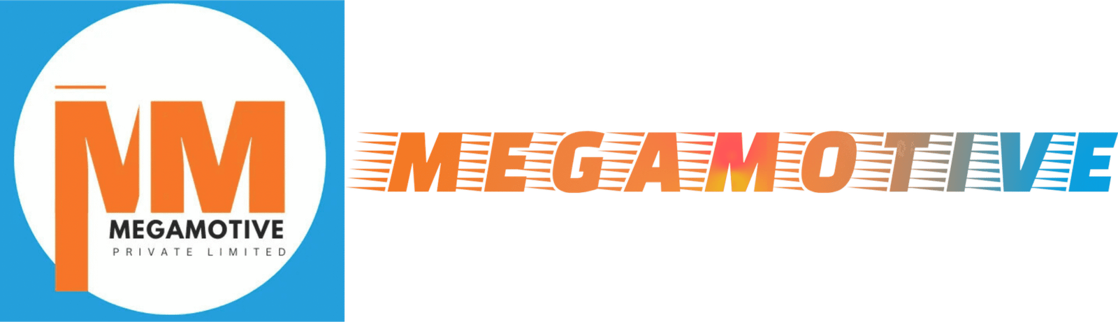 Black & White Minimalist Business Logo (3)